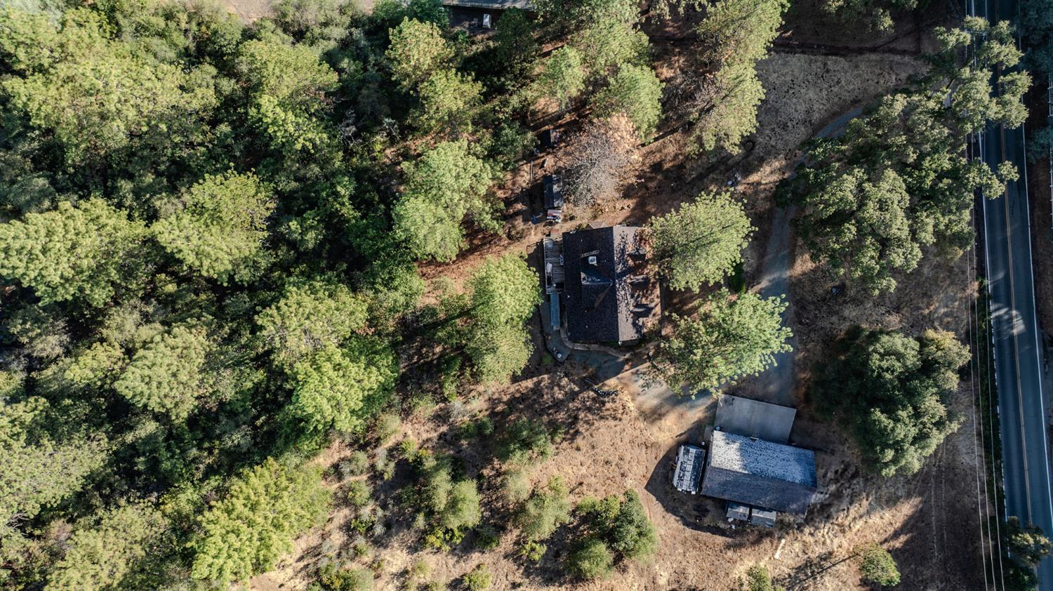 12810 New York Ranch Road Jackson, CA 95642 - Photo 13 of 56 a view of a house with a tree