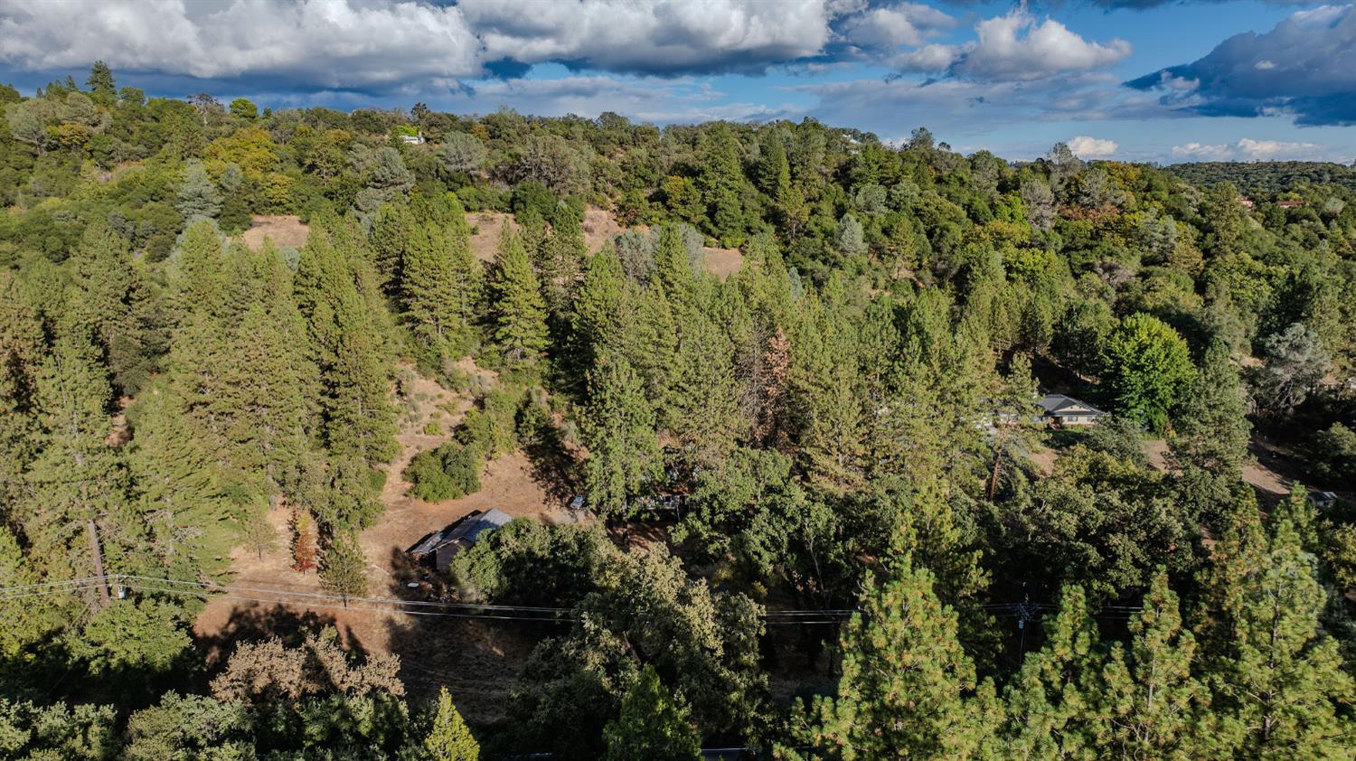 12810 New York Ranch Road Jackson, CA 95642 - Photo 10 of 56 a view of a garden