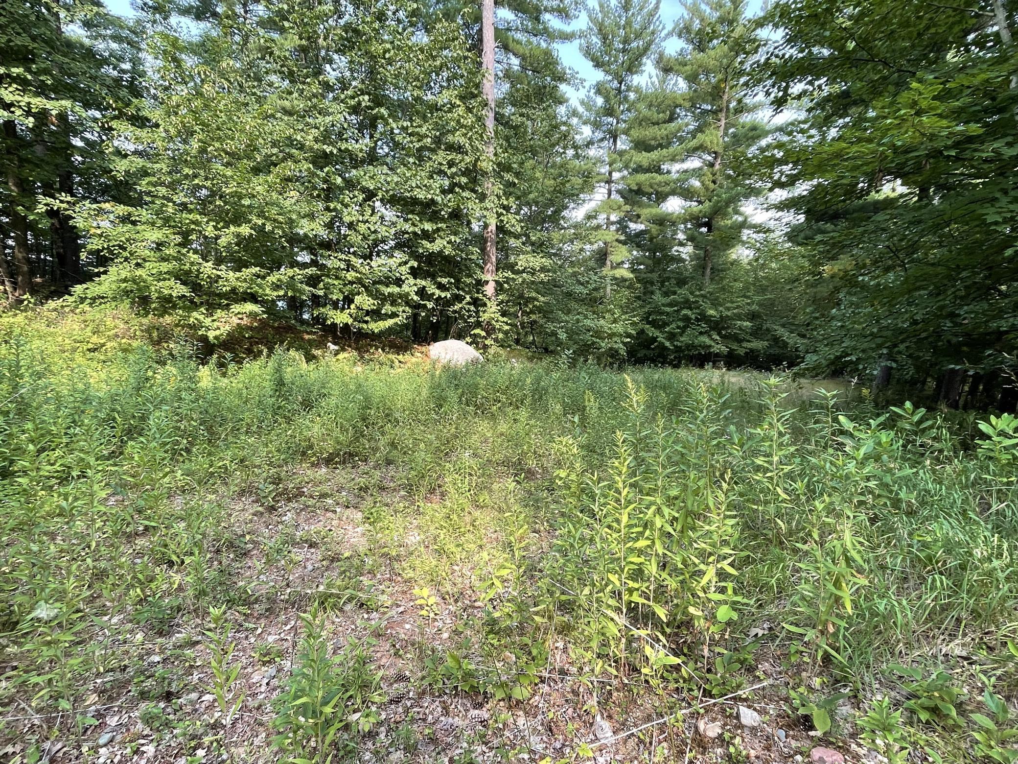 16574 Riverside Drive Brainerd, MN 56401 - Photo 41 of 48 Gallery Image 41