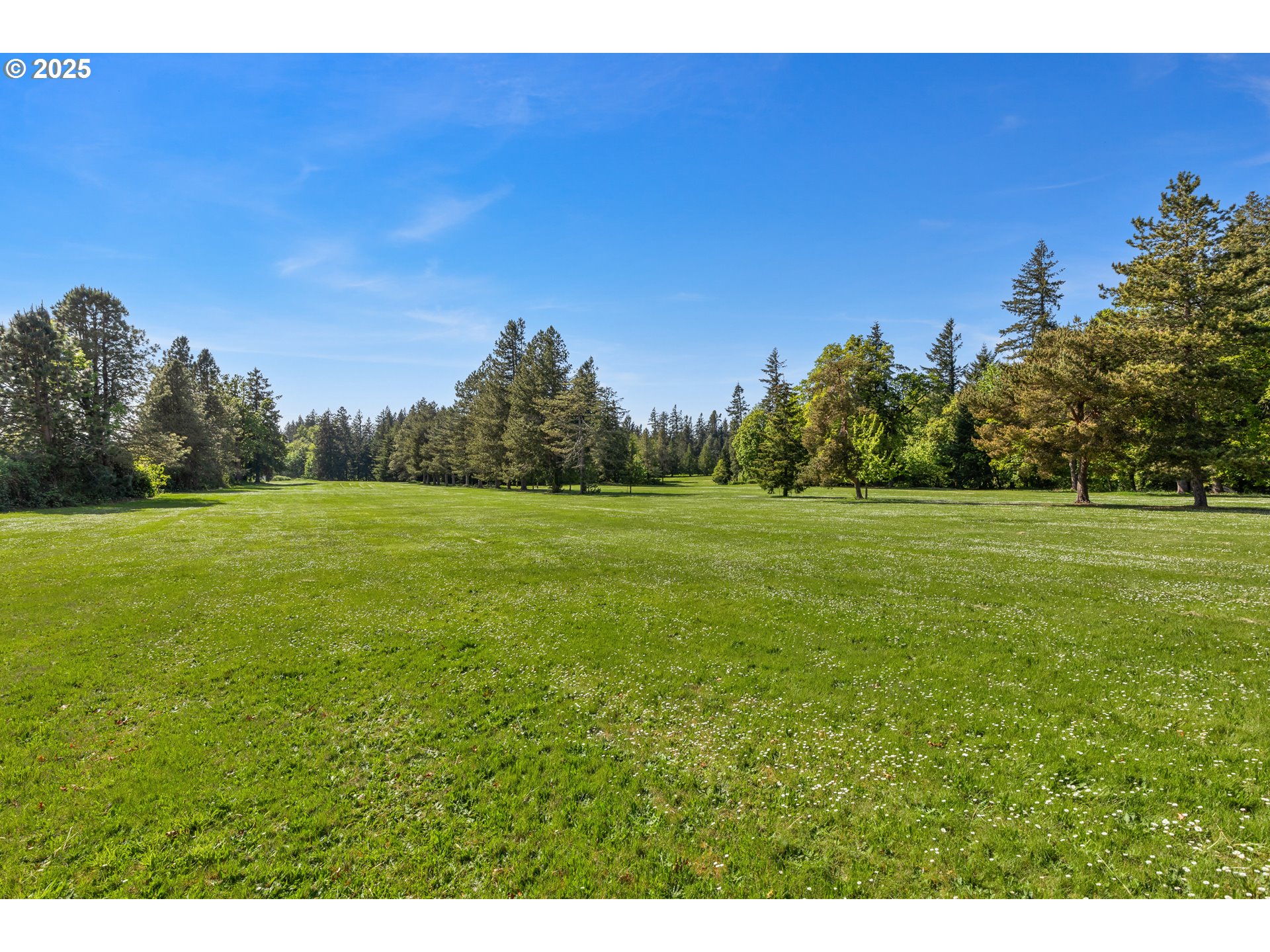 a view of a green field with trees in the background