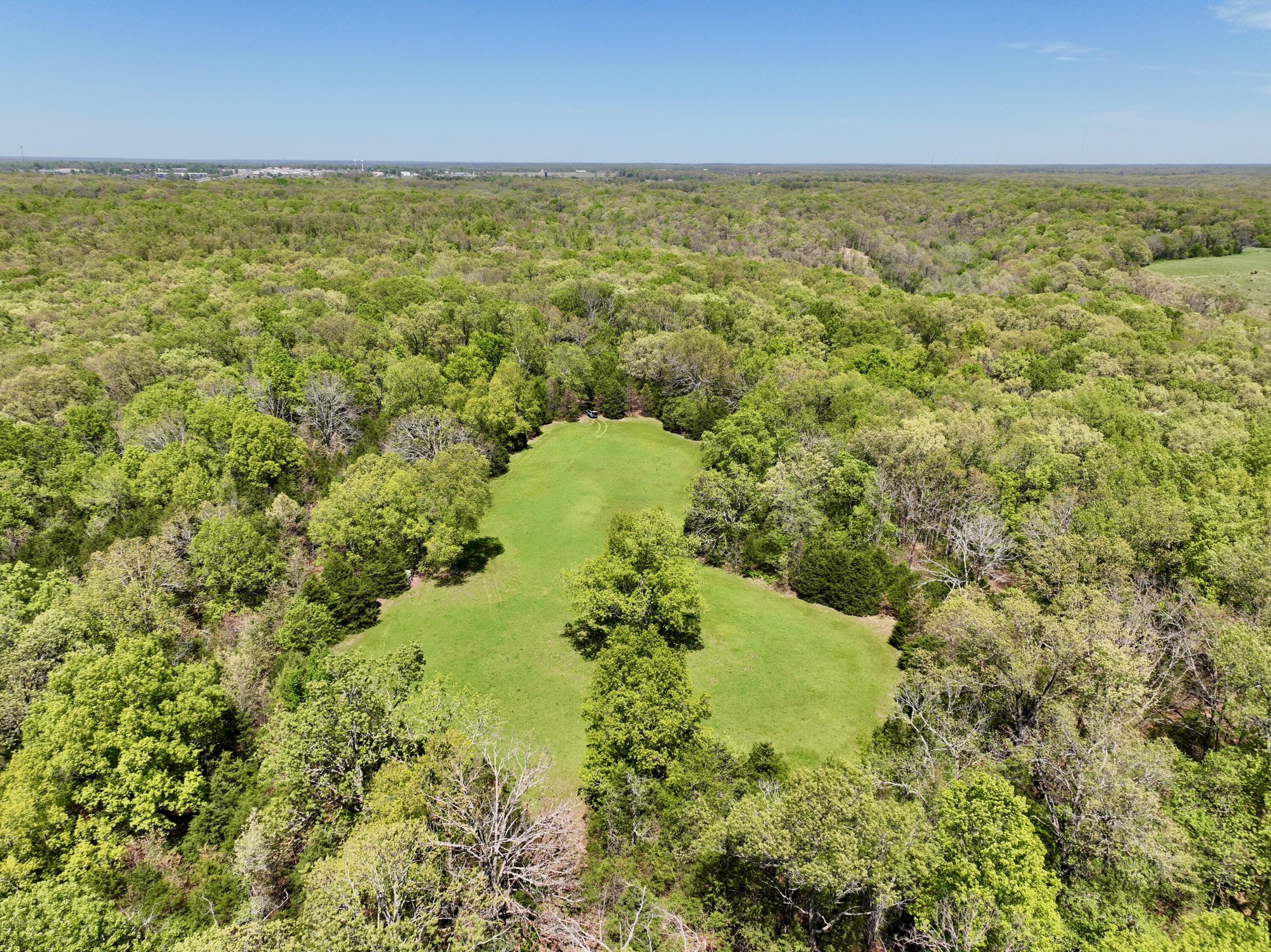 0 Corner Road Rogersville, MO 65742 - Photo 18 of 19 DJI_0456