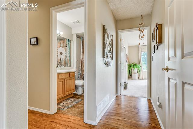 269 Talus Road Monument, CO 80132 - Photo 19 of 49