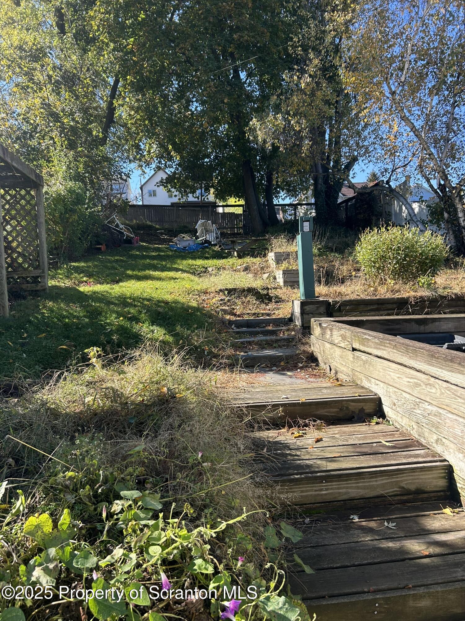 626 Cherry Street Scranton, PA 18505 - Photo 18 of 20 a view of a yard with large trees