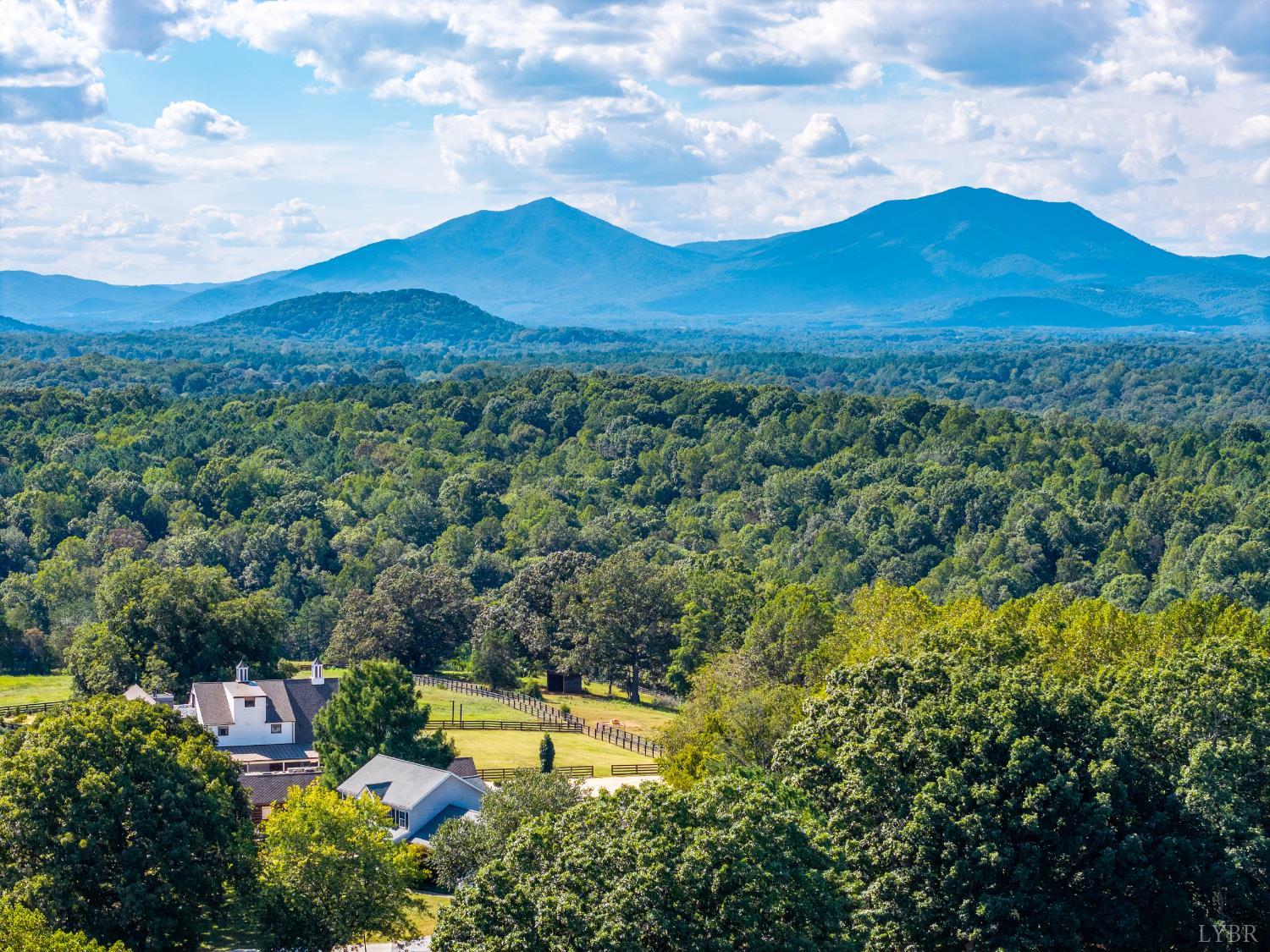 1324 Remington Ridge Drive Goode, VA 24556 - Photo 2 of 49 a view of a city with mountains in the background