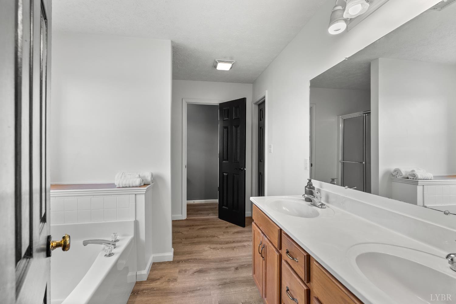 1324 Remington Ridge Drive Goode, VA 24556 - Photo 24 of 49 a bathroom with a sink and a mirror