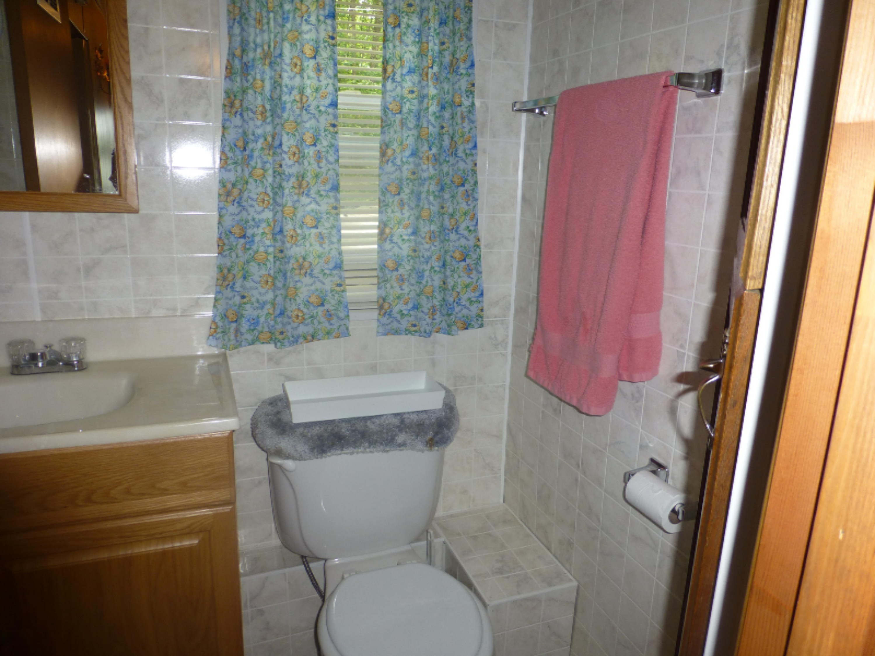 6895 North Poplar Road Free Soil, MI 49411 - Photo 13 of 16 P1050696