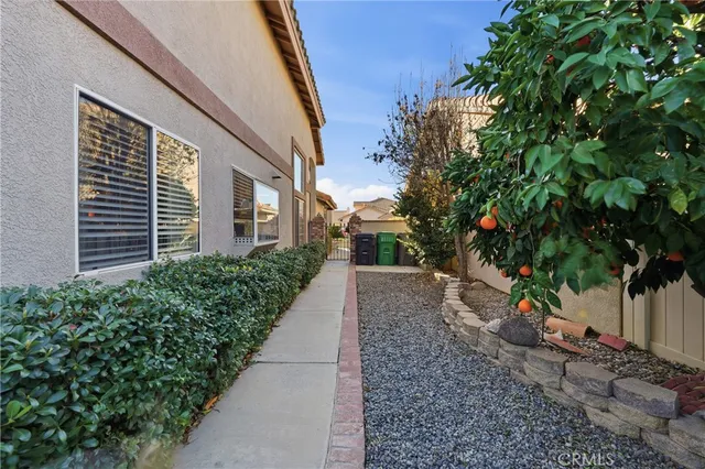 a view of a backyard with potted plants