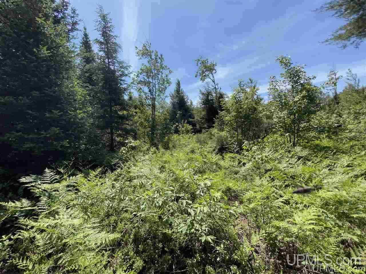 Tbd Off Cooks Lake Road, Unit 1 Wetmore, MI 49895 - Photo 15 of 19