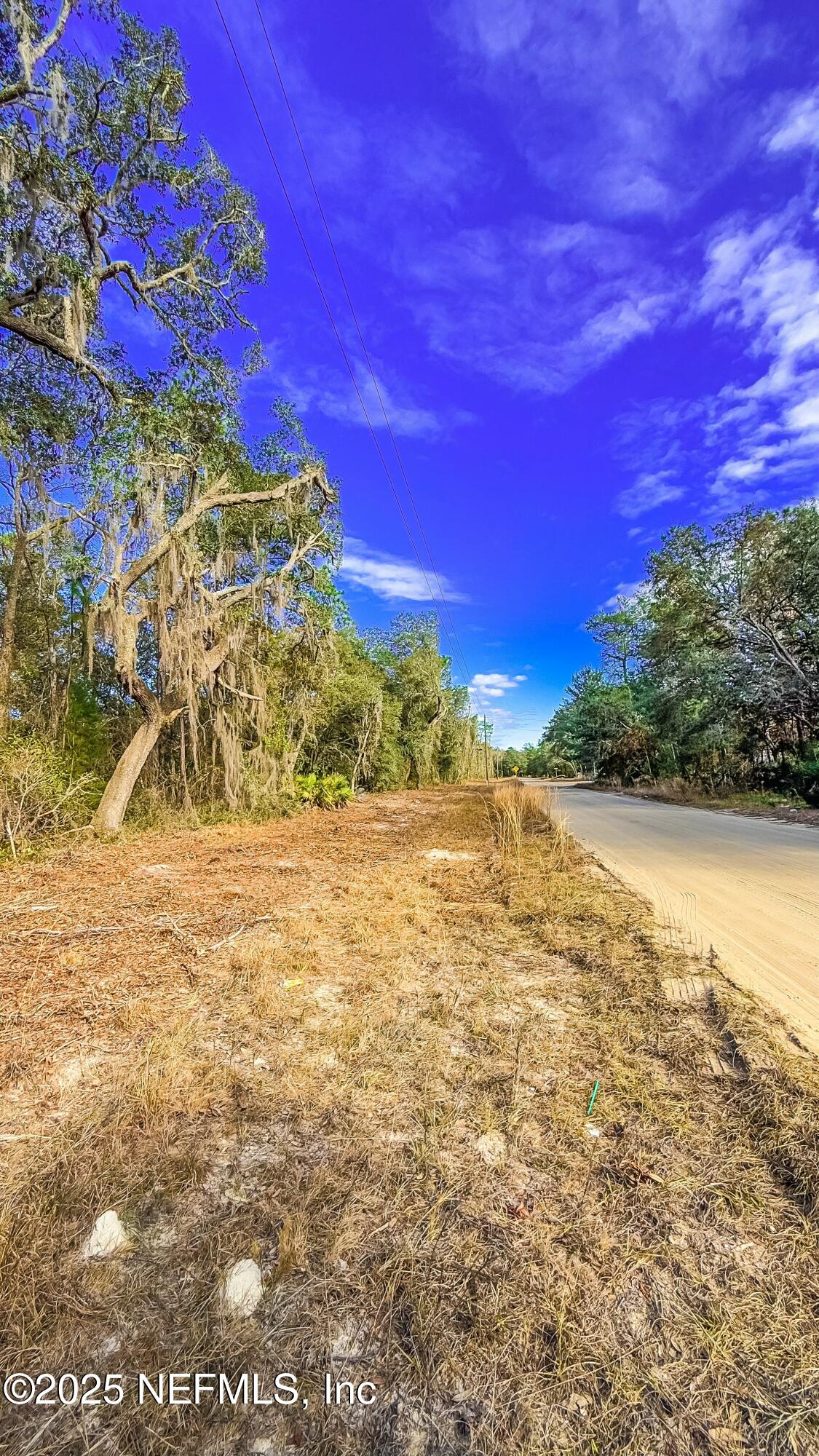 124 Lancaster Street Interlachen, FL 32148 - Photo 3 of 7 a view of a yard with a tree