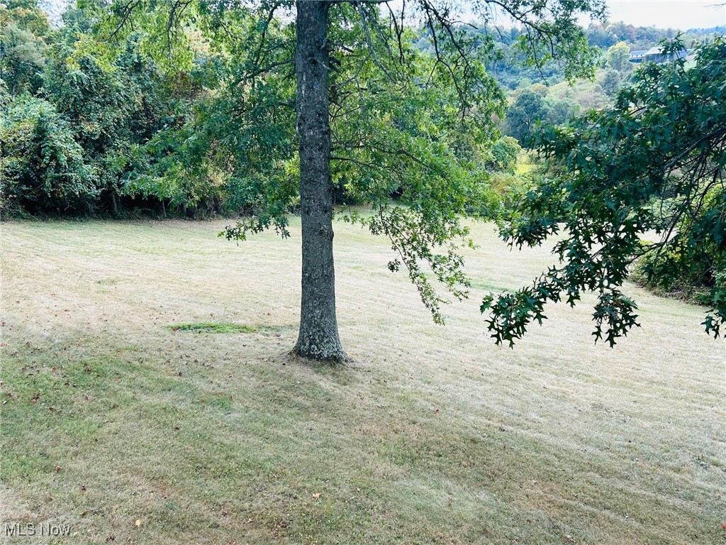 70540 Colerain Road Bridgeport, OH 43912 - Photo 29 of 30