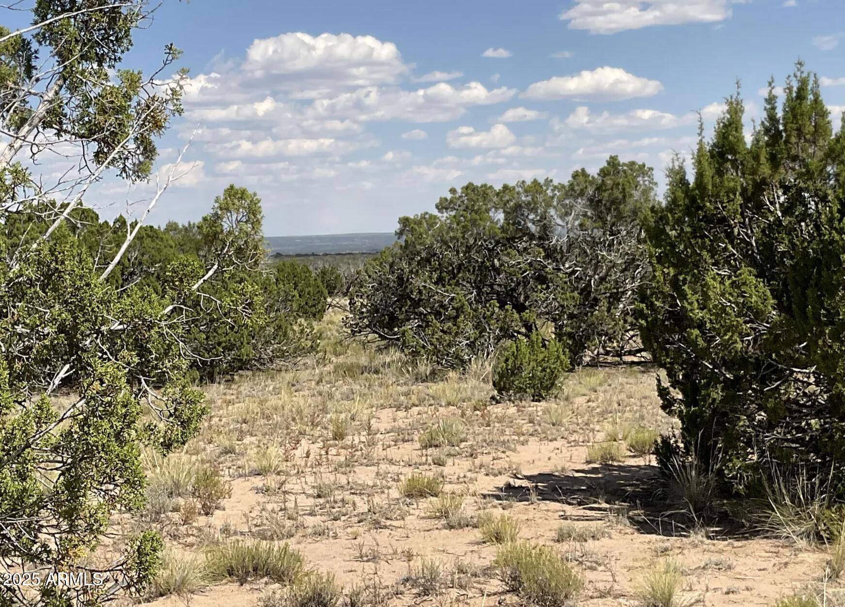 49 County Road St. Johns, AZ 85936 - Photo 5 of 10 49 County Rd N7304