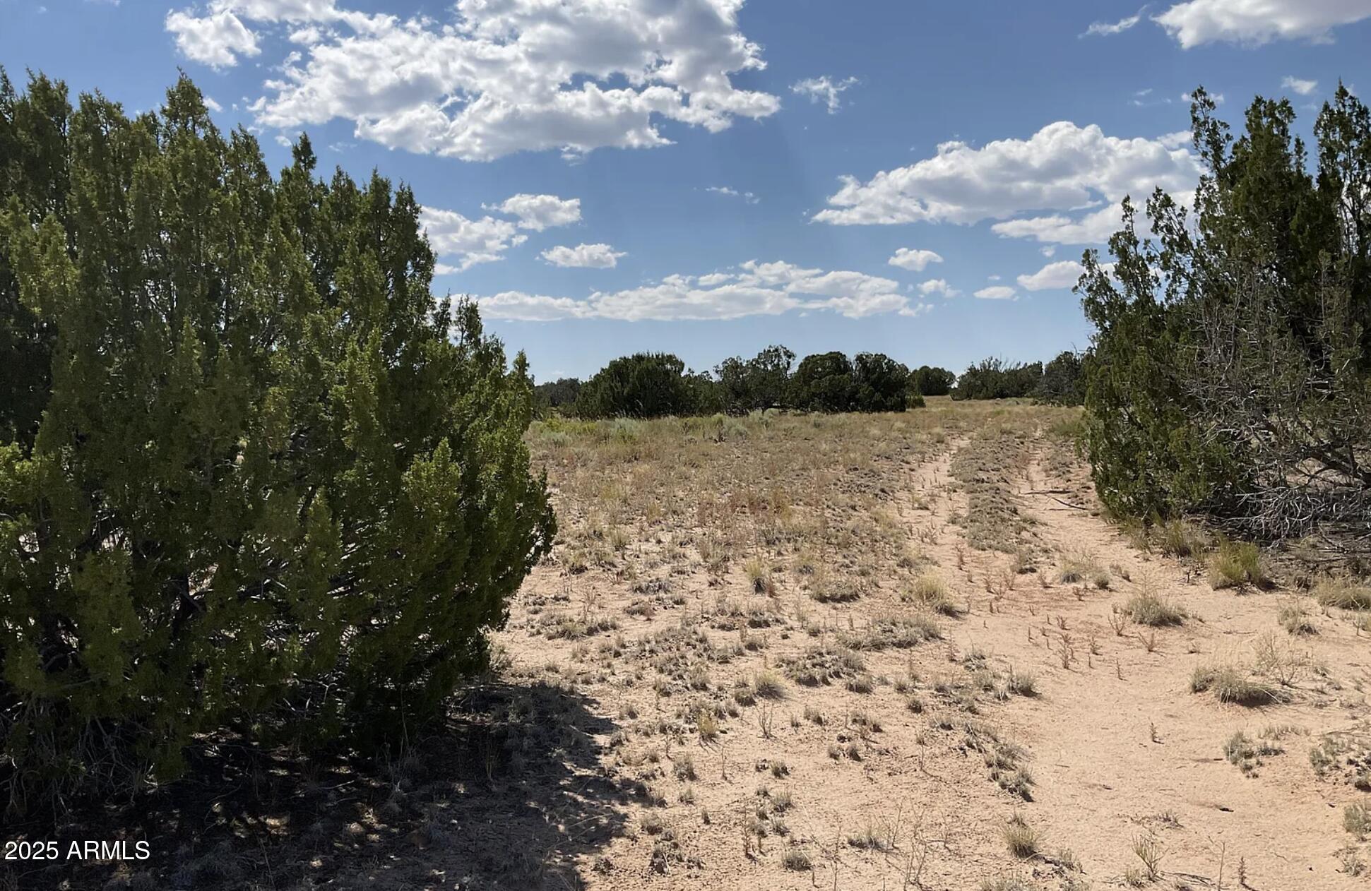 49 County Road St. Johns, AZ 85936 - Photo 6 of 10 49 County Rd N7304