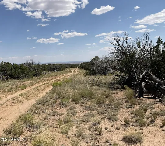$23,947 | 49 County Road, St. Johns, AZ 85936