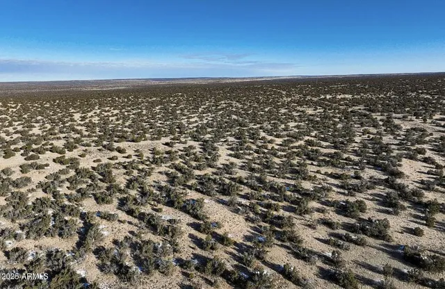 $23,947 | 49 County Road, St. Johns, AZ 85936