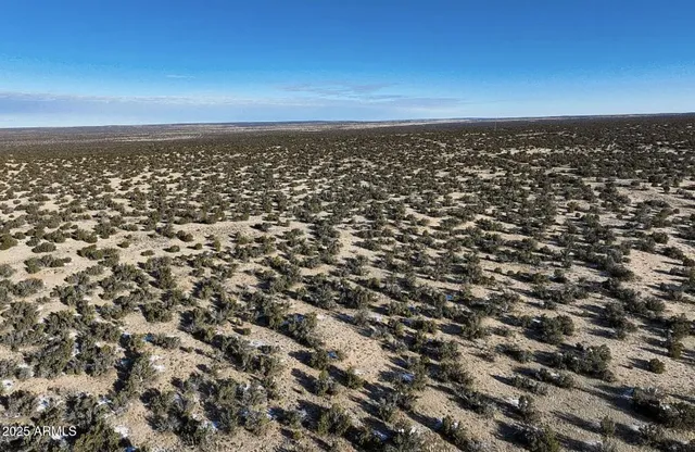 $23,947 | 49 County Road, St. Johns, AZ 85936