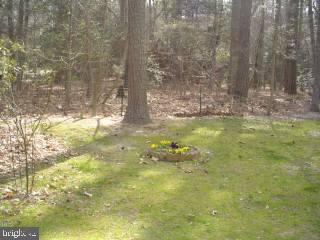 804 Outten Road Salisbury, MD 21804 - Photo 8 of 11 Gallery Image 8