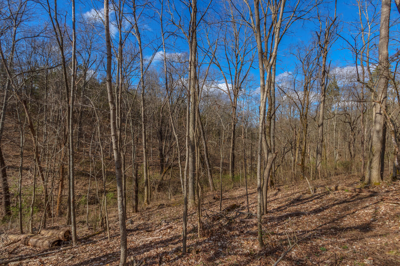 1 Camp Pleasant Road Frankfort, KY 40601 - Photo 25 of 67 054-2918-Cedar-Rd-Stamping-Ground-KY-403