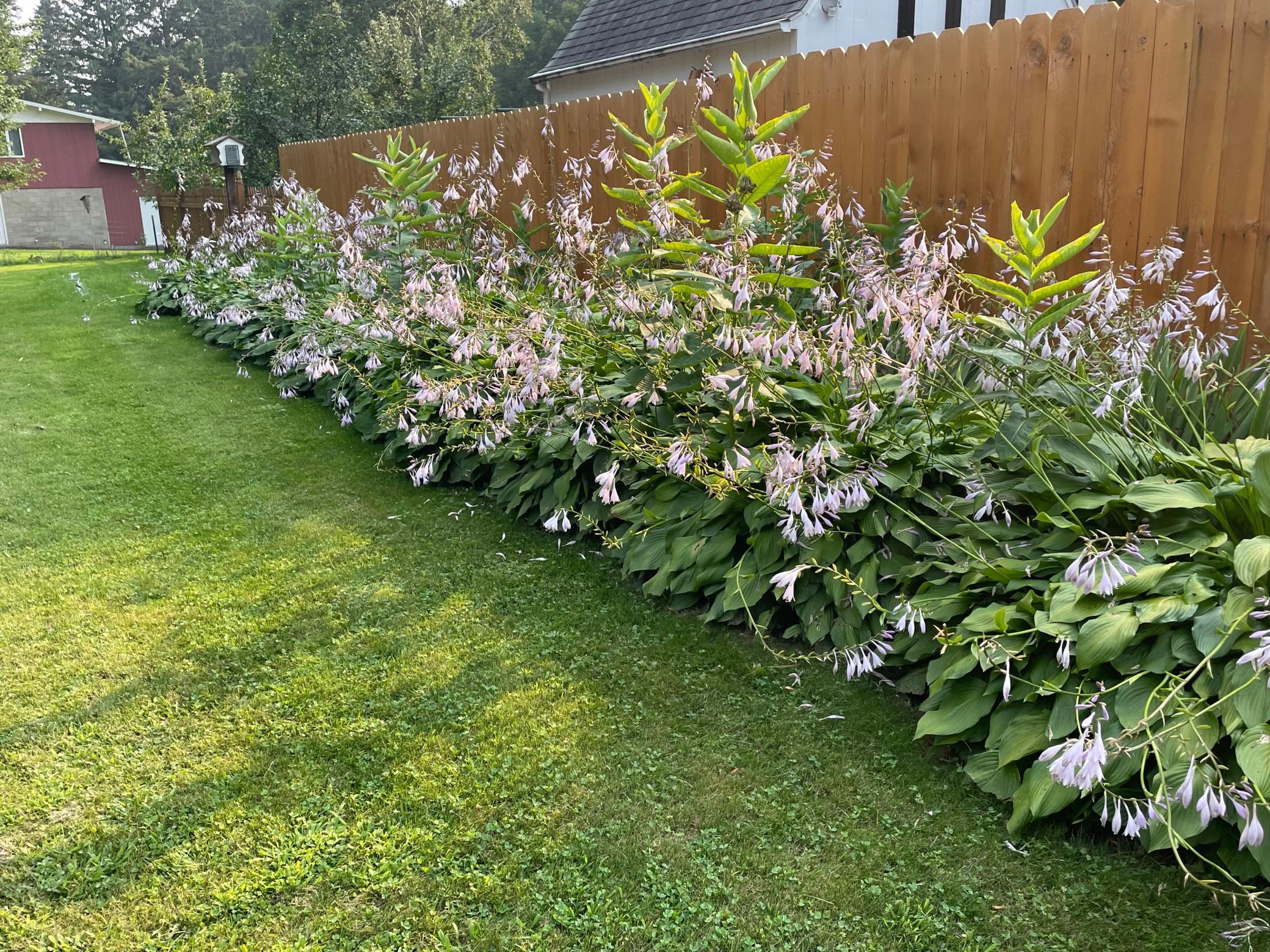 43770 Maple Avenue Harris, MN 55032 - Photo 88 of 92