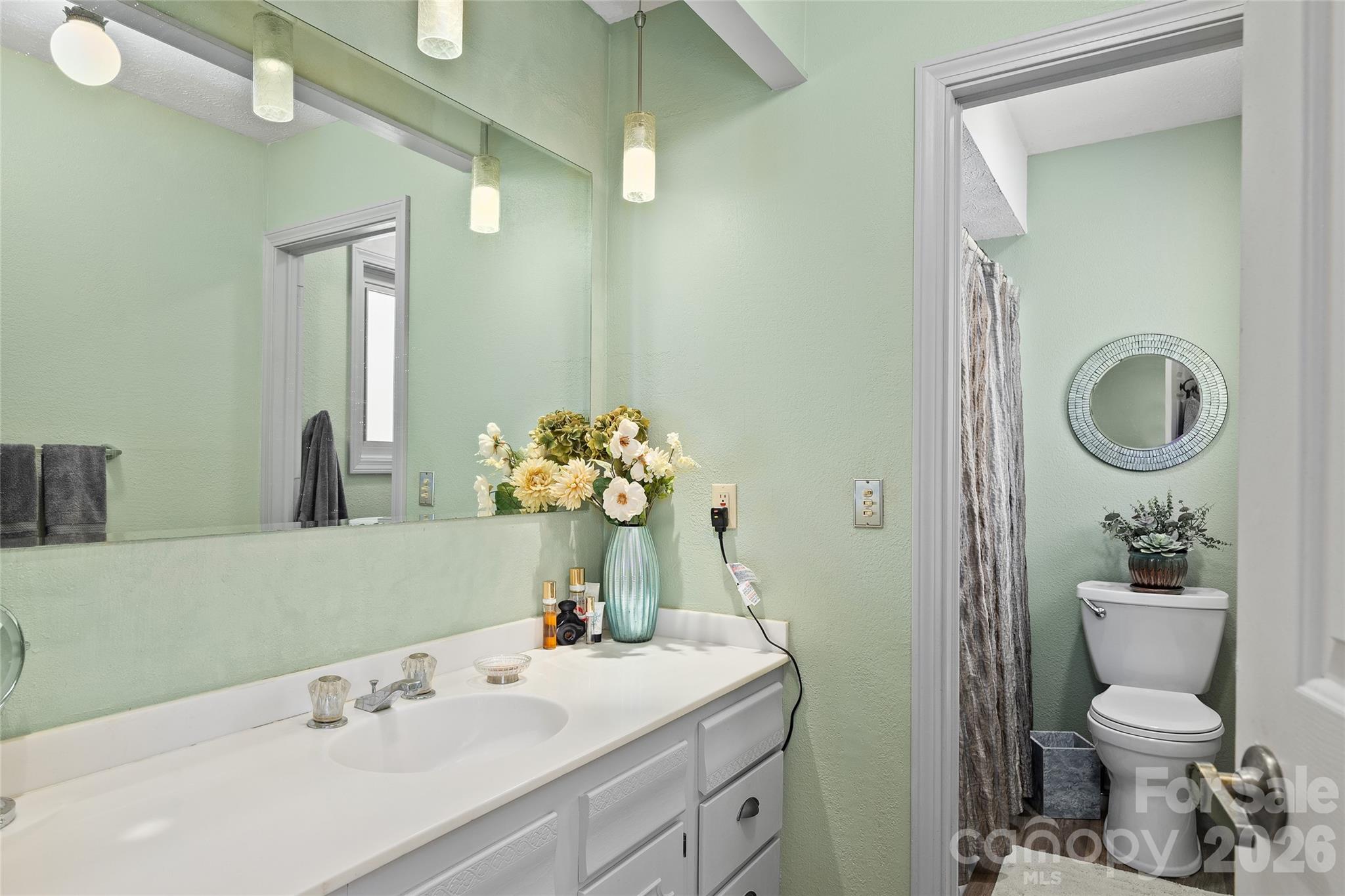 3017 Chestnut Tree Road Hendersonville, NC 28792 - Photo 23 of 38