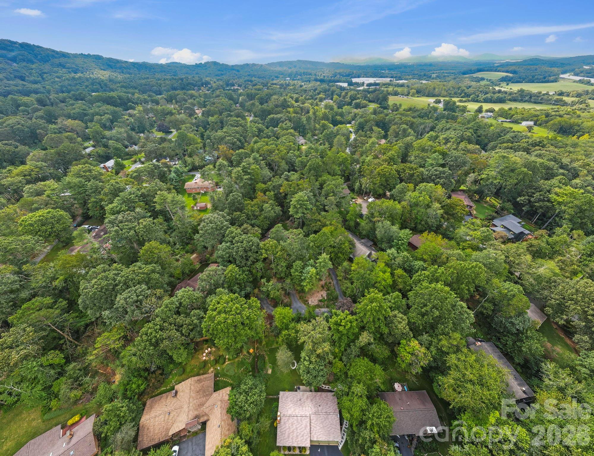 3017 Chestnut Tree Road Hendersonville, NC 28792 - Photo 30 of 38