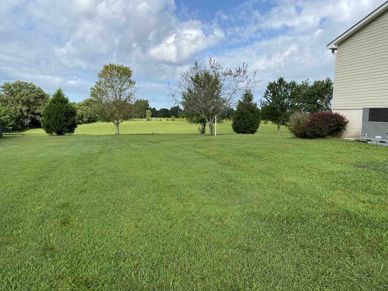535 Anna Sandhill Road Bowling Green, KY 42101 - Photo 10 of 13 Gallery Image 10