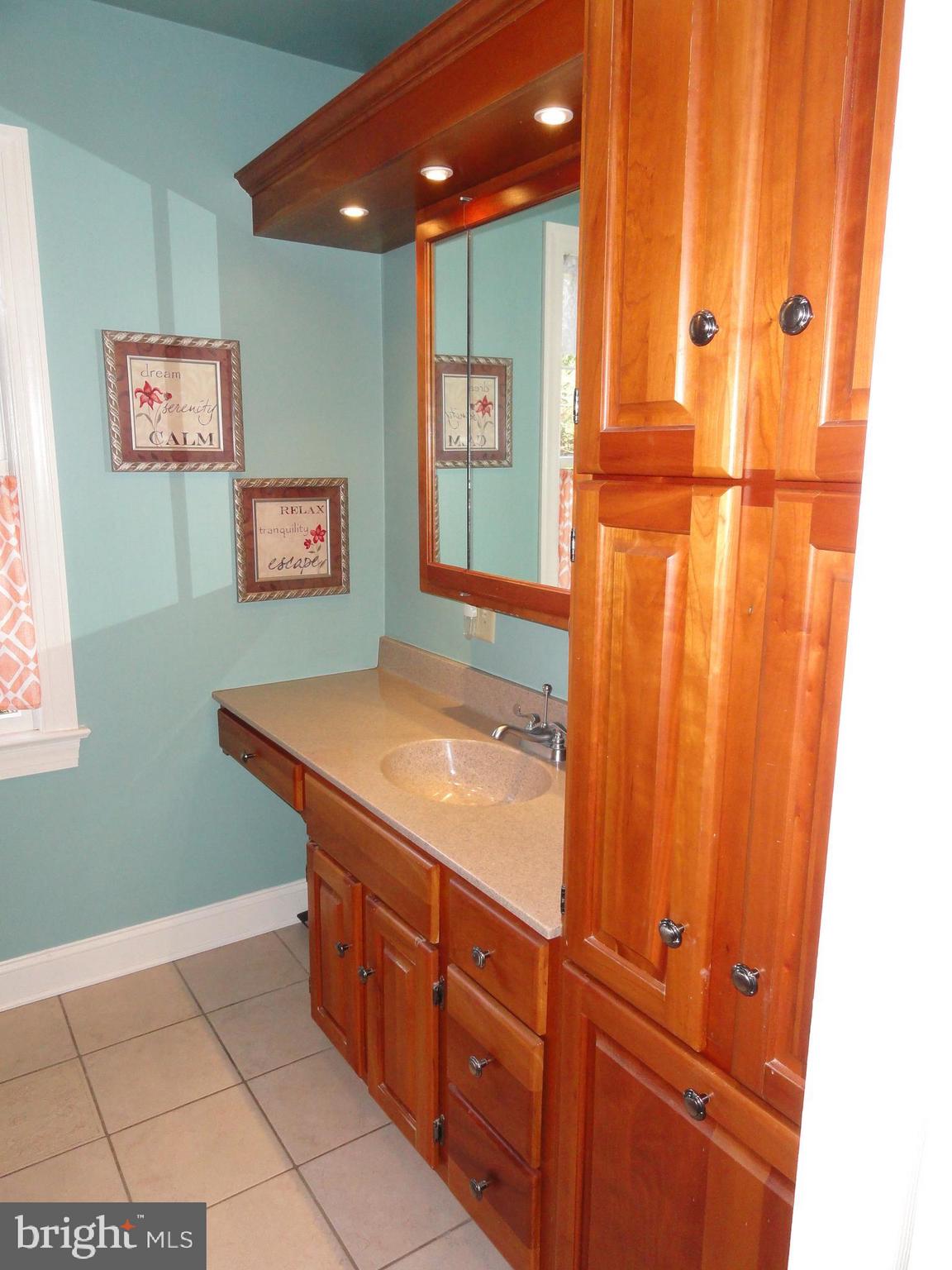 793 Henning Road Perkiomenville, PA 18074 - Photo 40 of 67 Main bedroom bath with custom wood accents