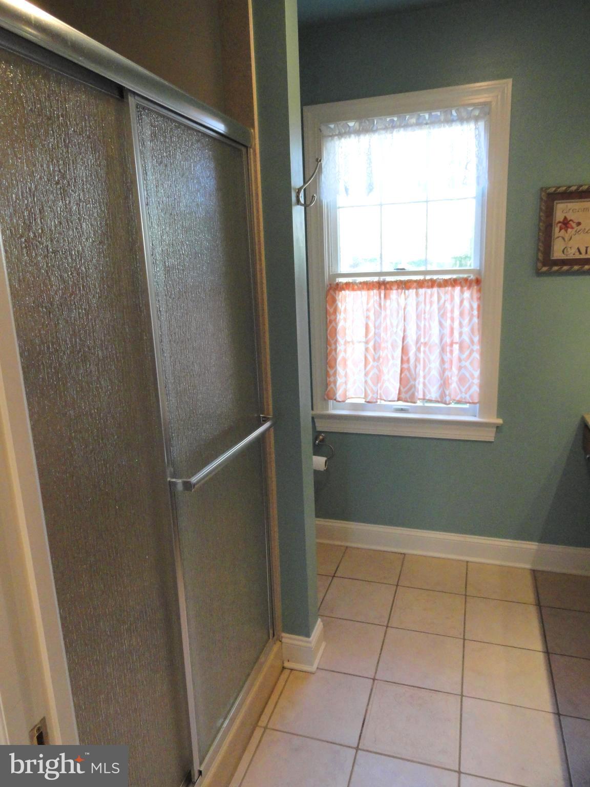793 Henning Road Perkiomenville, PA 18074 - Photo 41 of 67 Shower enclosure in Main bedroom bath