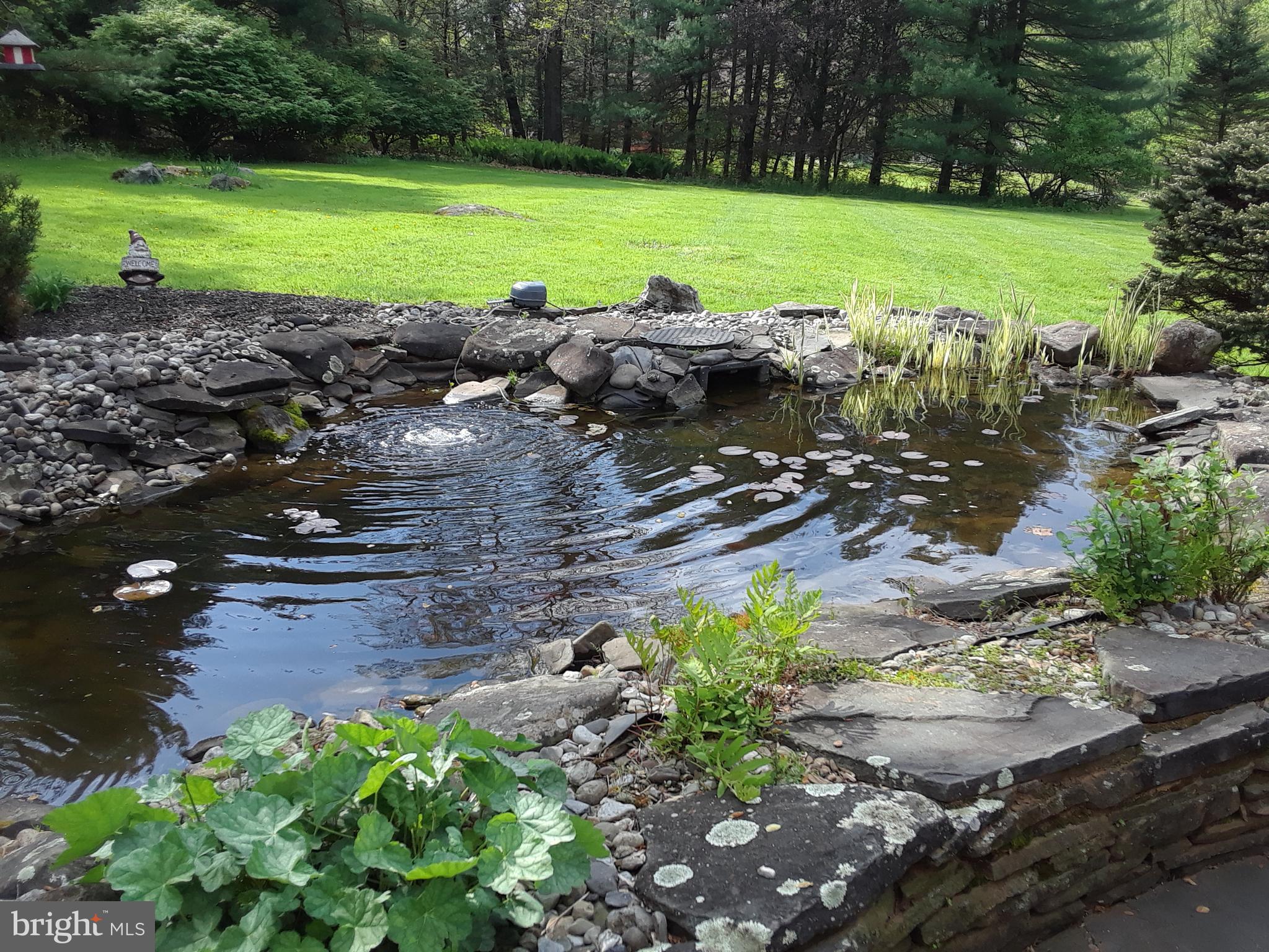 793 Henning Road Perkiomenville, PA 18074 - Photo 58 of 67 Koi pond