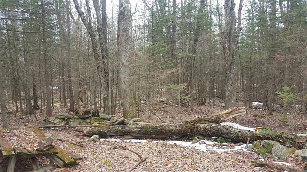 46 Tuell Hill Road Sumner, ME 04292 - Photo 14 of 15 Old picnic table is in front of...