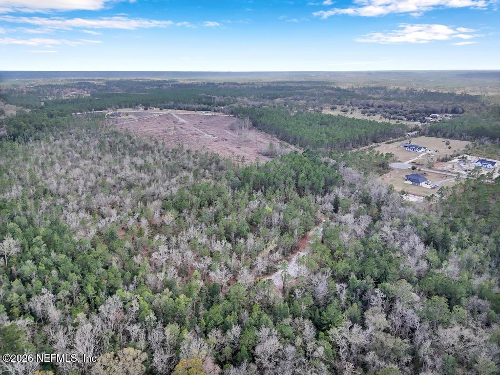 15364 Bullock Bluff Road Bryceville, FL 32009 - Photo 15 of 24 a view of a city with mountain view