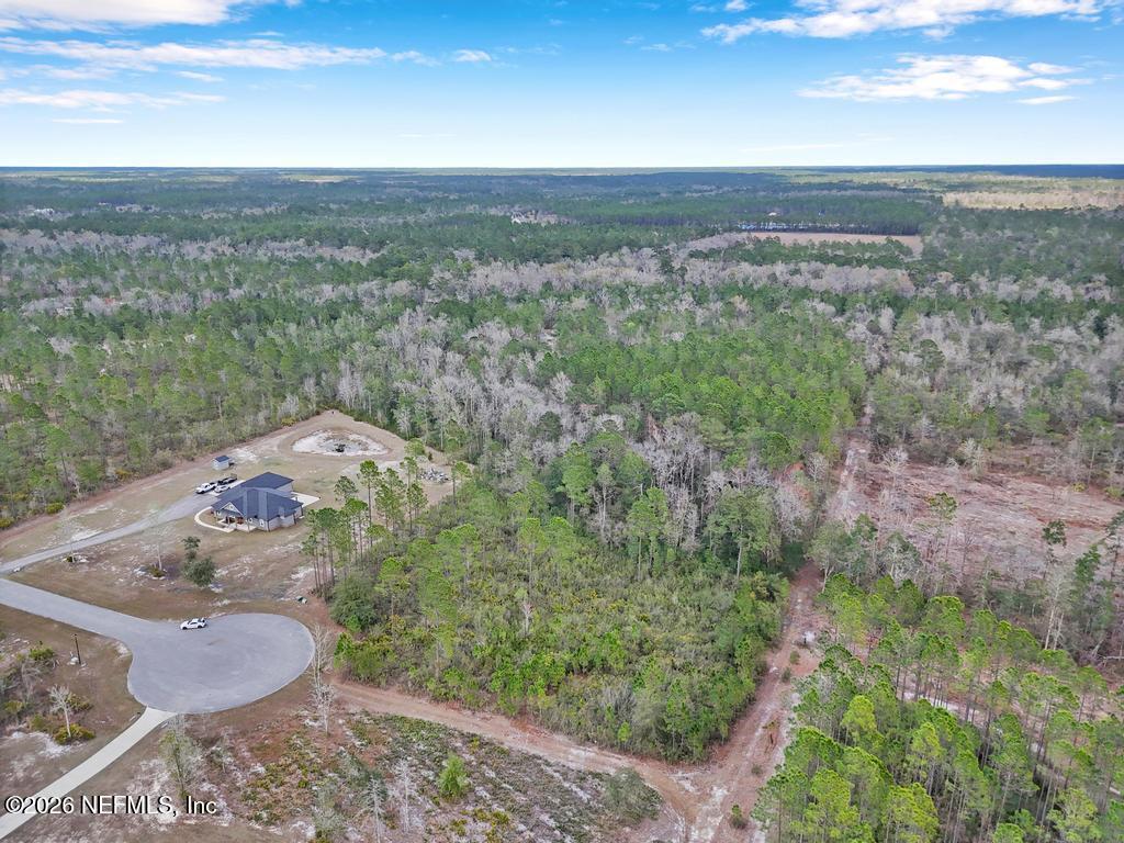15364 Bullock Bluff Road Bryceville, FL 32009 - Photo 23 of 24 a view of a outdoor space with mountain view