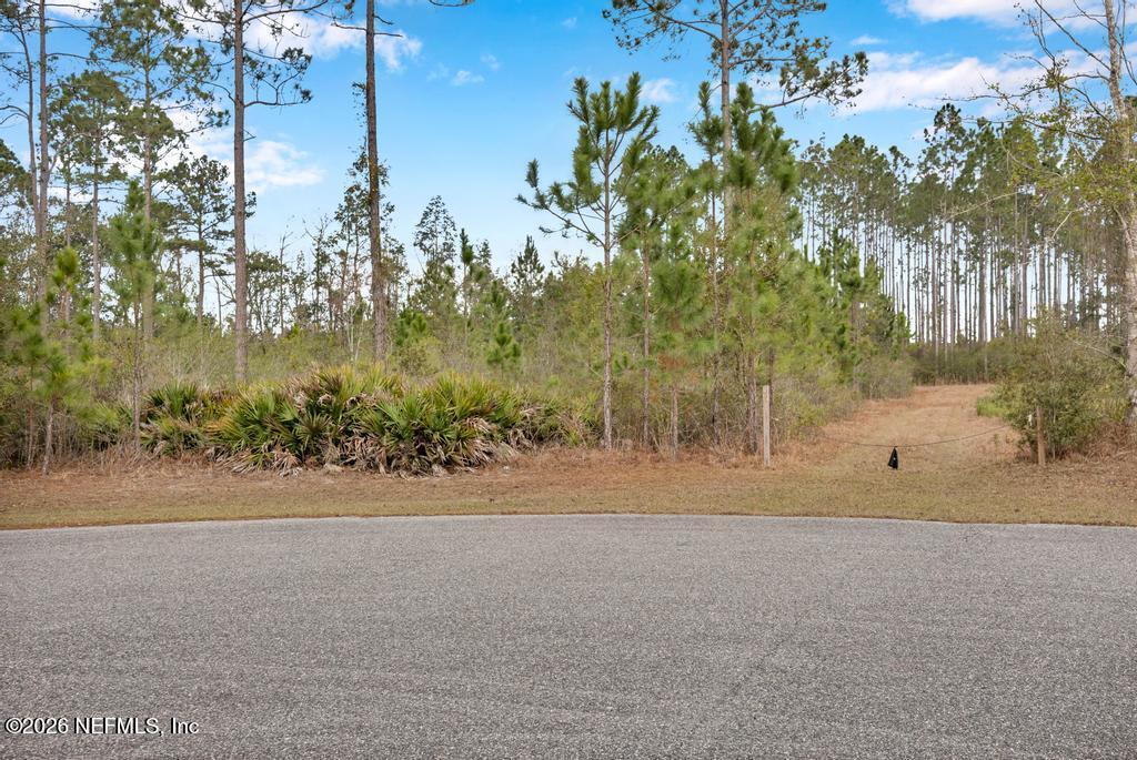15364 Bullock Bluff Road Bryceville, FL 32009 - Photo 3 of 24 a view of road and yard