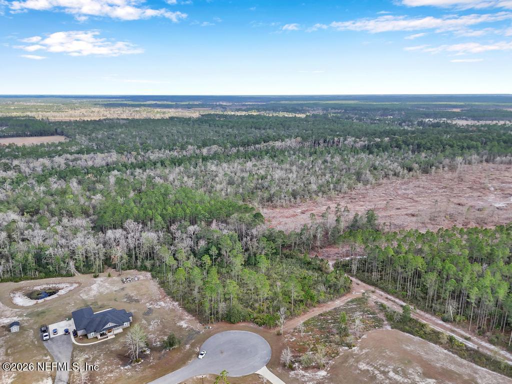 15364 Bullock Bluff Road Bryceville, FL 32009 - Photo 5 of 24 a view of a pathway with a yard