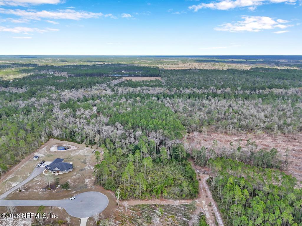 15364 Bullock Bluff Road Bryceville, FL 32009 - Photo 7 of 24 a view of outdoor space and city view