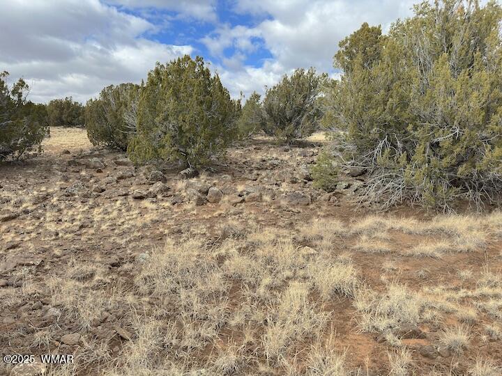 51 N8060 Concho, AZ 85924 - Photo 1 of 15 Land 6