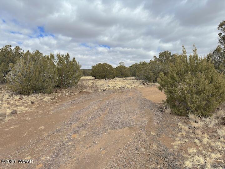 51 N8060 Concho, AZ 85924 - Photo 11 of 15 Land 4