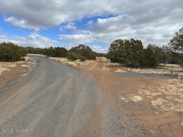 51 N8060 Concho, AZ 85924 - Photo 13 of 15 Fork in Road, Stay Right