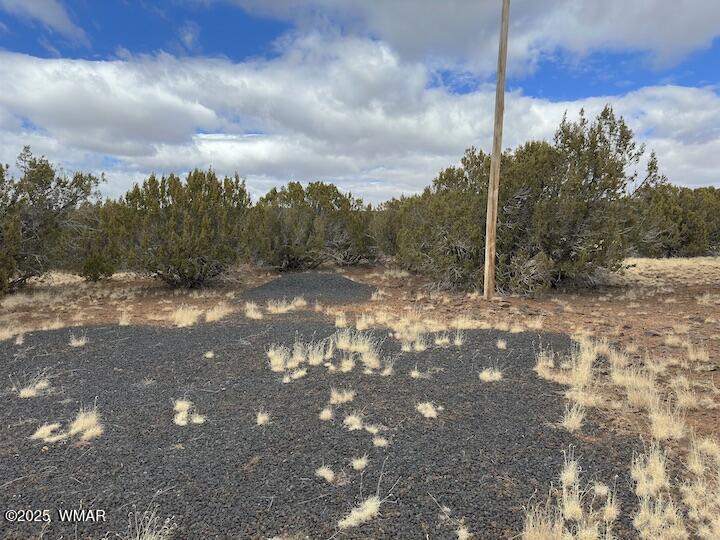 51 N8060 Concho, AZ 85924 - Photo 14 of 15 RV Parking