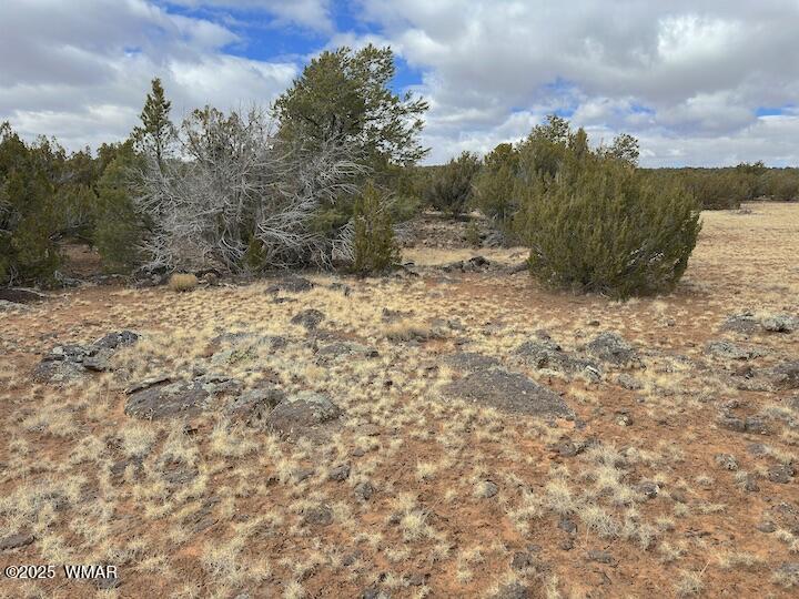 51 N8060 Concho, AZ 85924 - Photo 2 of 15 Land