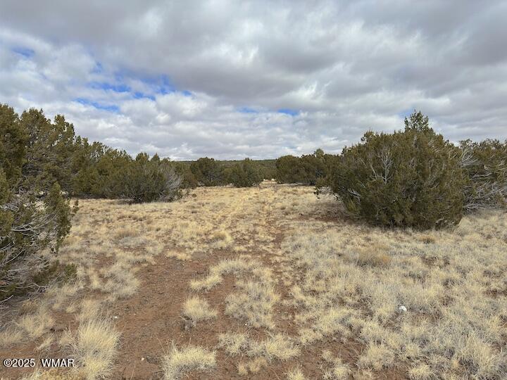 51 N8060 Concho, AZ 85924 - Photo 3 of 15 Land 2