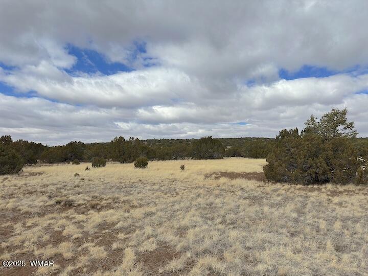 51 N8060 Concho, AZ 85924 - Photo 4 of 15 Land 3