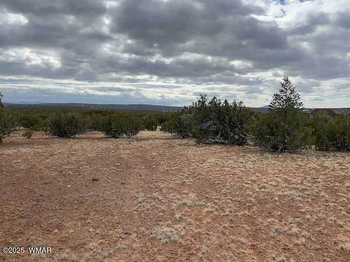 51 N8060 Concho, AZ 85924 - Photo 5 of 15 Land 7