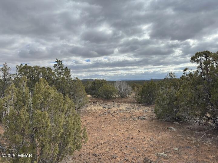 51 N8060 Concho, AZ 85924 - Photo 6 of 15 Land 8