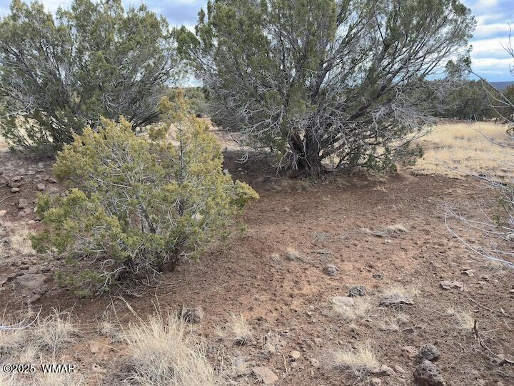 51 N8060 Concho, AZ 85924 - Photo 7 of 15 Land 9