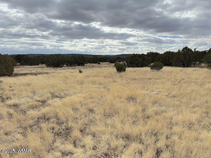 51 N8060 Concho, AZ 85924 - Photo 8 of 15 Land 10
