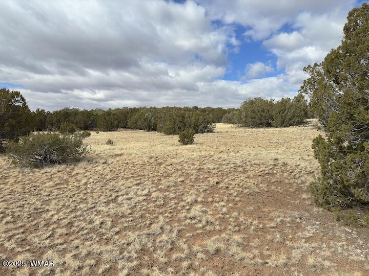 51 N8060 Concho, AZ 85924 - Photo 9 of 15 Land 11