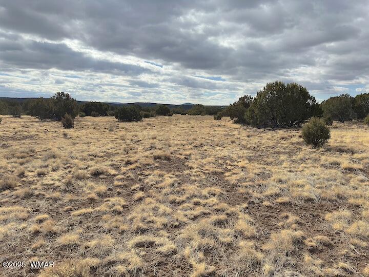 51 N8060 Concho, AZ 85924 - Photo 10 of 15 Land 12