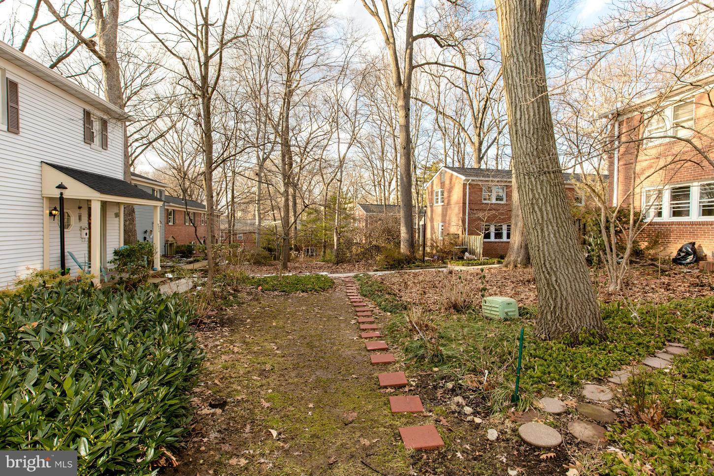 8632 Geren Road, Unit 158 Silver Spring, MD 20901 - Photo 20 of 20 a view of a yard with plants and large trees