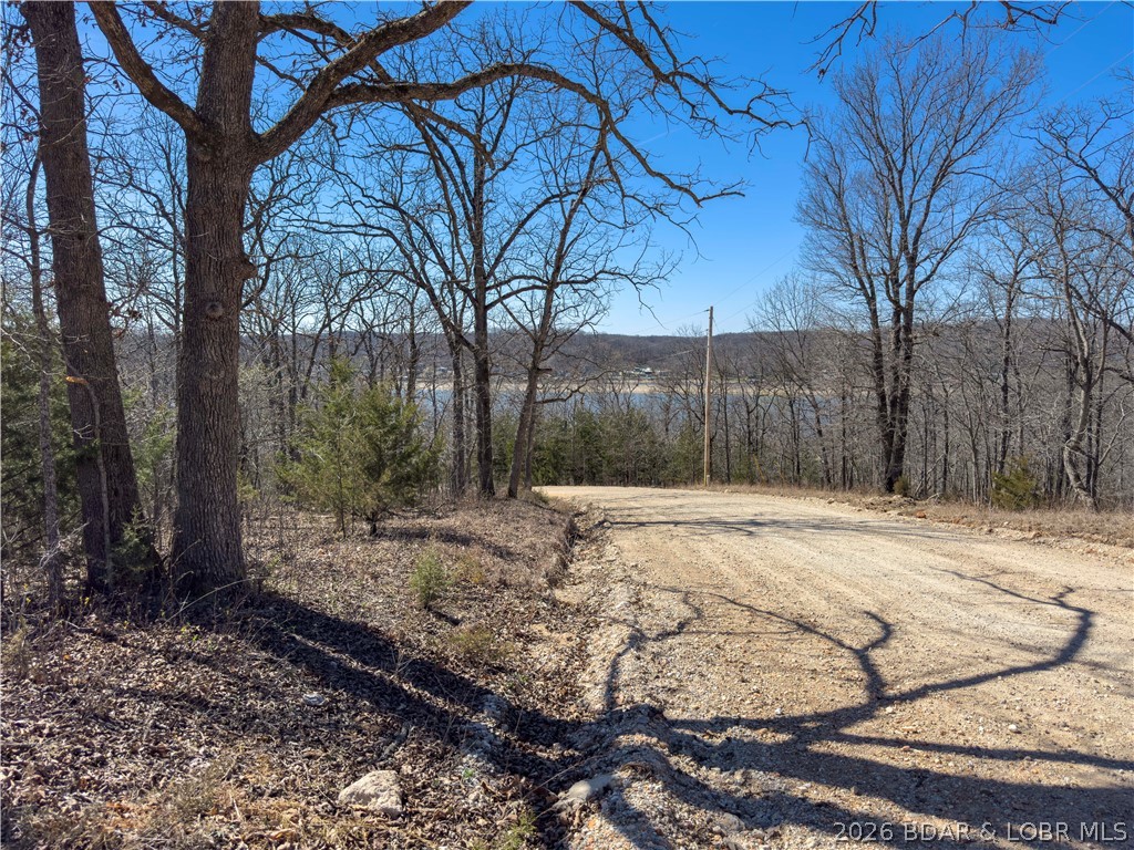 Central Ozarks Road Edwards, MO 65326 - Photo 2 of 37 Lake View