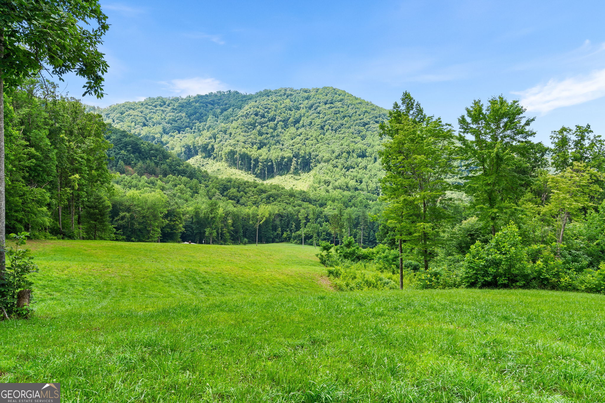 1449 Muskrat Creek Road Hayesville, NC 28904 - Photo 50 of 67